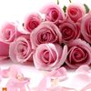 hazan_718
