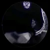 xno305