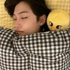 lee_lilico