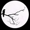 dokvvtlc