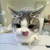 naiko_dh