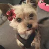 max_cute60