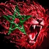 adilfvzx9ir