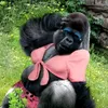 banati268