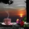 user3321266787687
