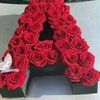 user381121947