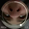 skickic2