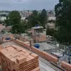 gorripes