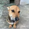 hihihihihih367