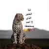 user191395655