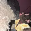 gigi_200006