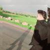 abo.ali.919.c7