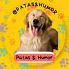 Patas & Humor