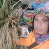 user88400257063537