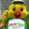 pollito.con.papas154