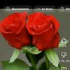 amani.chawiya7
