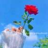 mariya.islam5697