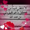 user441408237812