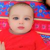 asgharail236