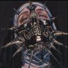 psychwardj