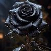 wintesfm7ls