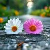 munni8086
