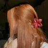 sfsa33_