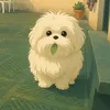 viral.dog.teo