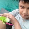 f1pf3