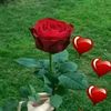 yashfame20