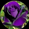 user80206171871047