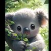 koalagmail.com03