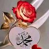 taimoor.iqbal396