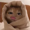 crunxchy_
