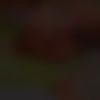 user6131194555941