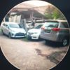 setaringputih