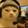 team_c0nrd