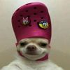 ezabot91