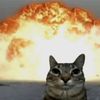 boom_catz