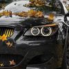 kvn_bmw_0