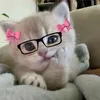 _sasaa____