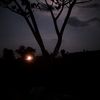 fridaykub3