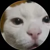 nata.77743