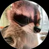 raccoon_xex
