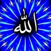 user65435321286