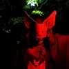 _land_of_shadows_