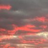 null84062