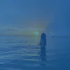 aryn_hj