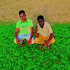 user8006140987178