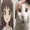 Mel ୨୧⊹
